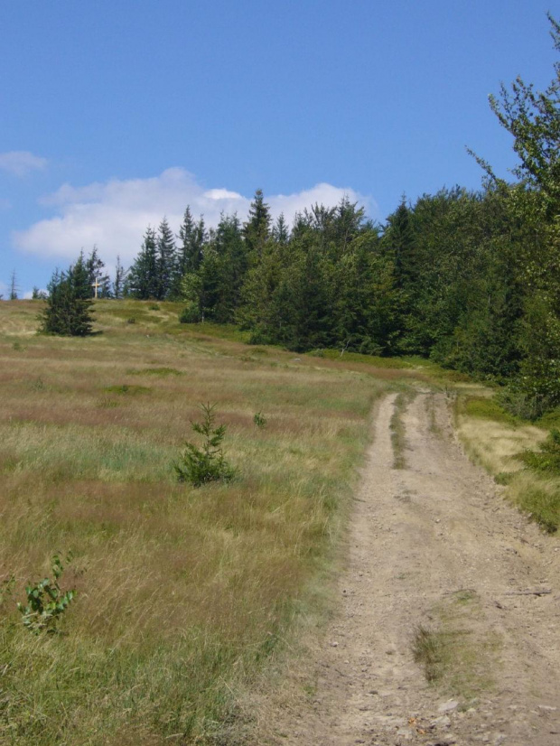 Beskid Żywiecki- Pasmo Jałowieckie. Czerniawa sucha(1062m.n.p.m.), Beskidek(1044),Hala Kamińskiego, Mędralowa(1169) Hala Mędralowa, Jaworzyniec(997). #BeskidŻywiecki #Jałowiec #Mędralowa #HalaKamińskiego #HalaMędralowa #CzerniawaSucha