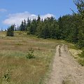 Beskid Żywiecki- Pasmo Jałowieckie. Czerniawa sucha(1062m.n.p.m.), Beskidek(1044),Hala Kamińskiego, Mędralowa(1169) Hala Mędralowa, Jaworzyniec(997). #BeskidŻywiecki #Jałowiec #Mędralowa #HalaKamińskiego #HalaMędralowa #CzerniawaSucha