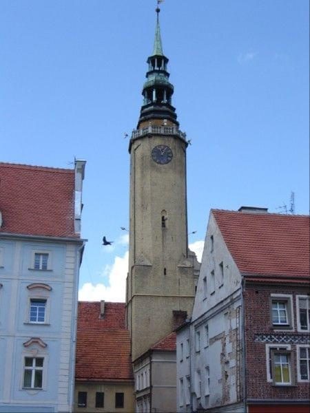 Ratuszowa wieża w Brzegu