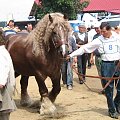 Szepietowo 23 czerwca 2007