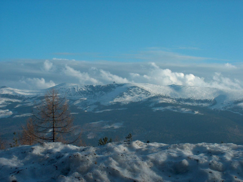 widok z zakrętu śmierci w Szklarskiej Porębie #krajobraz #widok #przyroda #natura #góry #zima #chmury #niebo #szczyty #drzewa #śnieg