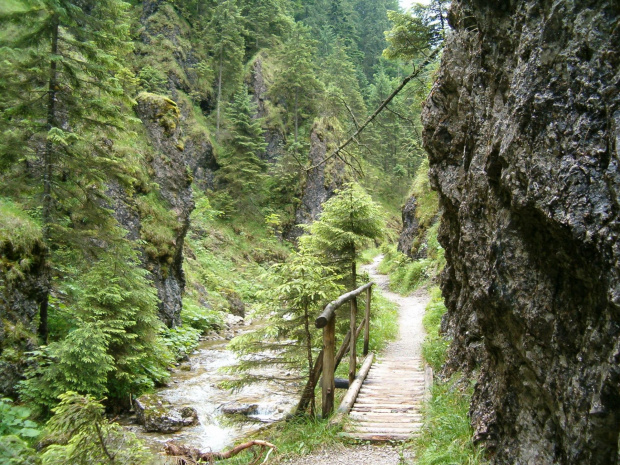 Wąwóz Cieśniawy w Dolinie Juraniowej #Tatry