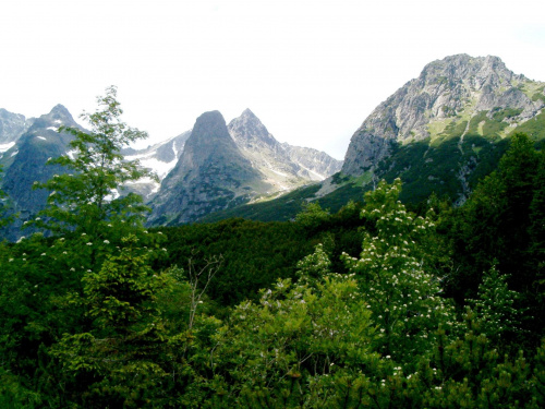 Jastrzębia Turnia #Tatry