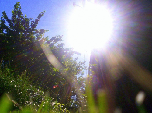 Moje oko xD
kWIATKI :)
tULIPANEk :)
Drzewko :)
MisiaczKi moje :):)
Słoneczko w trawie ;]