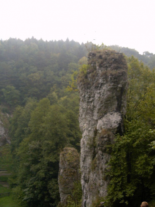 "...czy podobnym byc do skały...jak posąg pychy samotnie stac..." #skała #DolinaMnikowska