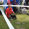 23.VI.2007 #WystawyPsów