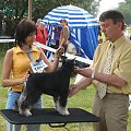 23.VI.2007 #WystawyPsów