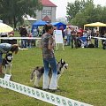 23.VI.2007 #WystawyPsów