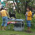23.VI.2007 #WystawyPsów