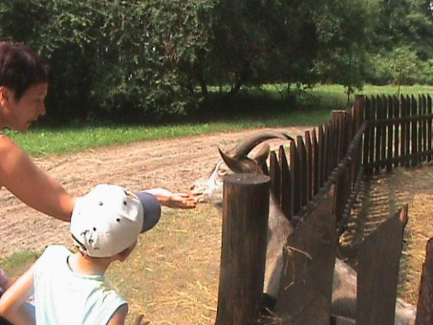 ranczo 2007