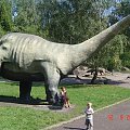 Dolina Dinozaurów w Chorzowie.