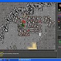 #Tibia