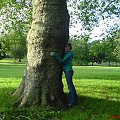 St George Park