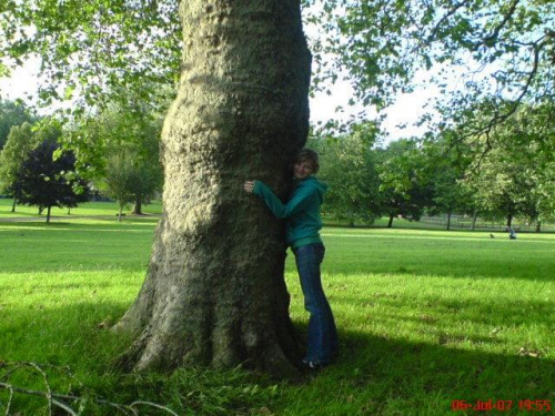 St George Park