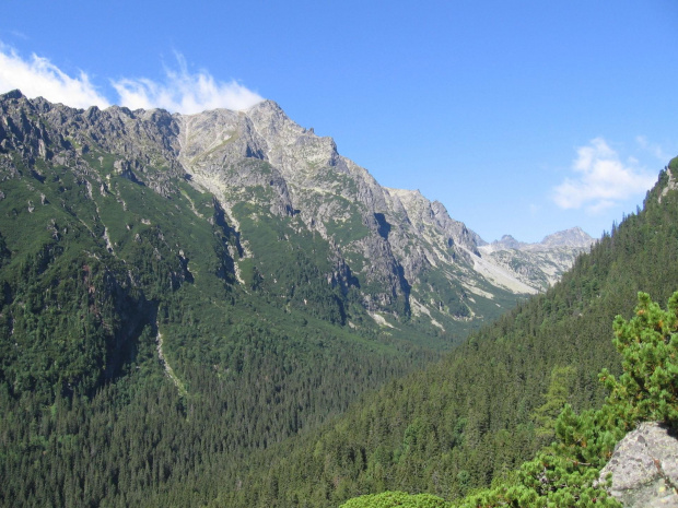 Staroleśna Dolina, po lewej masyw Sławkowskiego Szczytu w głębi Rohatka i Dzika Turnia i Świstowy Szczyt #Góry #Tatry