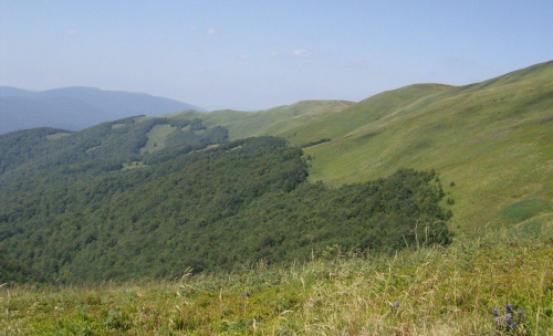 #Bieszczady #PołoninaWetlińska #Tarnica