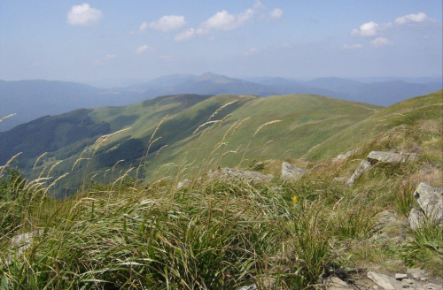 #Bieszczady #PołoninaWetlińska #Tarnica