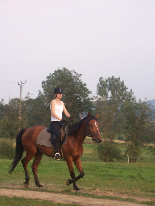 Ja na młodym koniu Alwicie ( tzw. Calintek ). #konie #Kotań #zwierzęta