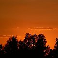 #natura #ZachódSłońca #chmury #widoki #rośliny