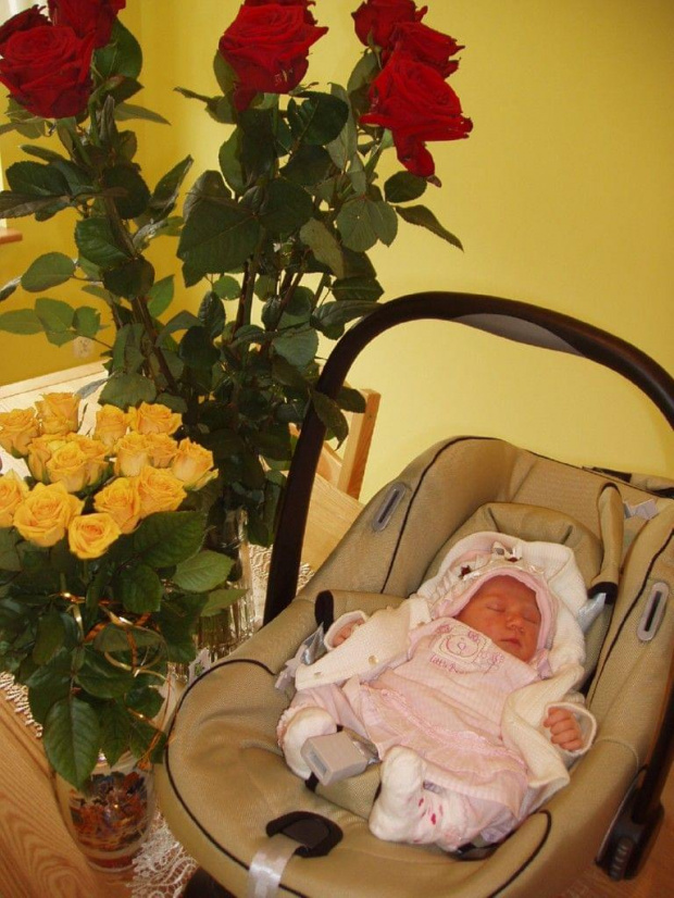 Czerwone róże są dla mamy a żółte dla mnie od tatusia.