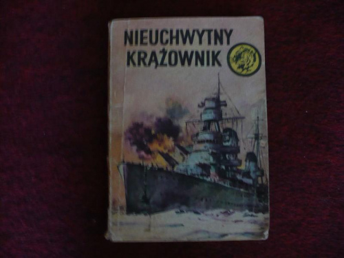 Modele i książka