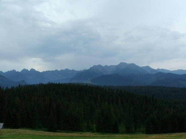 Widok z trasy Bukowina- Łysa Polana