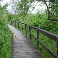 Biebrzański Park Narodowy Lipiec 2oo7