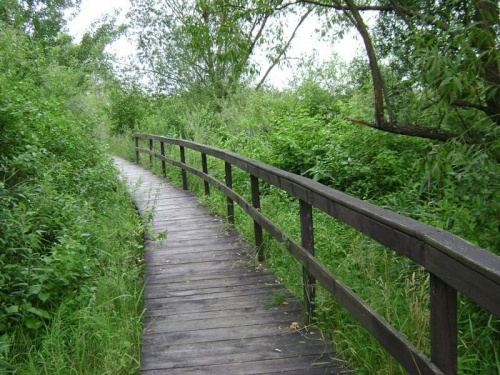 Biebrzański Park Narodowy Lipiec 2oo7