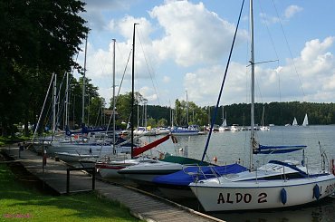 Wierzba #JezioroBełdany #PromBełdany #Wierzba #Mazury