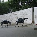 ANIMALS IN WAR
-THEY HAD NO CHOICE.
Pomnik pożwięcony zwierzętom biorącym udział w wojnach. #Londyn #pomnik #animals #zwierzęta #wojna