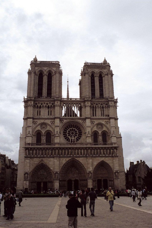 Katedra Notre Dame...