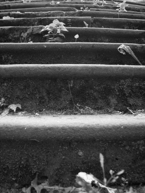 i mroczne schody. ;) #schody
