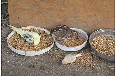 Niedzielny obiad #GłuchołazyIOkolice