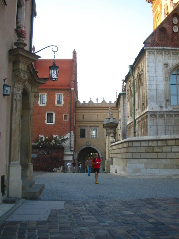 brama wejściowa - wawel