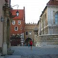 brama wejściowa - wawel