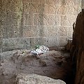 Forum Romanum