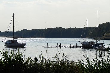 #jezioro #Miedwie #żaglówki #łódki