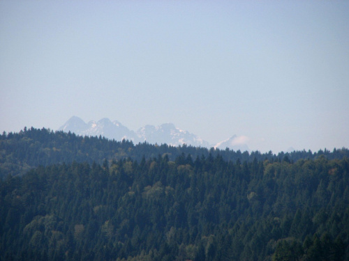 widok na Tatry