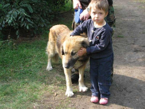 Leoś znaleziony przez p. Agatę