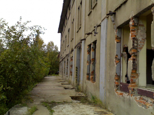 Pavlov 7