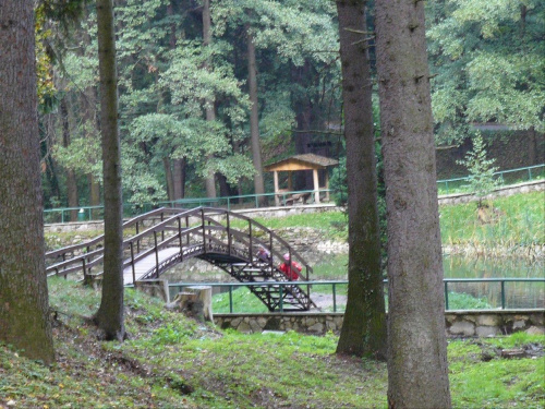 park w Zdroju