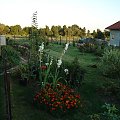 Domy biorące udział w konkursie na najbardziej zadbaną posesję