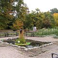 Wrocławski ogród botaniczny