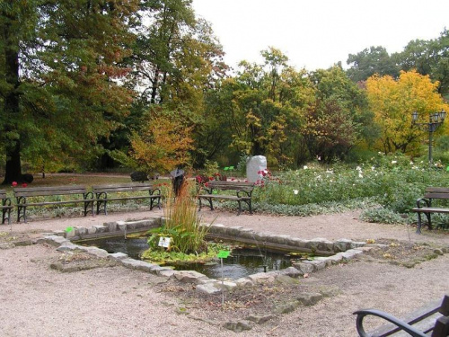 Wrocławski ogród botaniczny